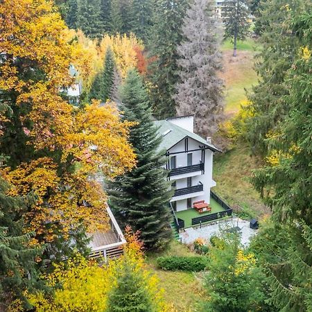Family Treez Premium Apartments Poiana Brasov Εξωτερικό φωτογραφία