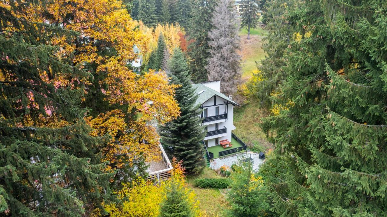 Family Treez Premium Apartments Poiana Brasov Εξωτερικό φωτογραφία